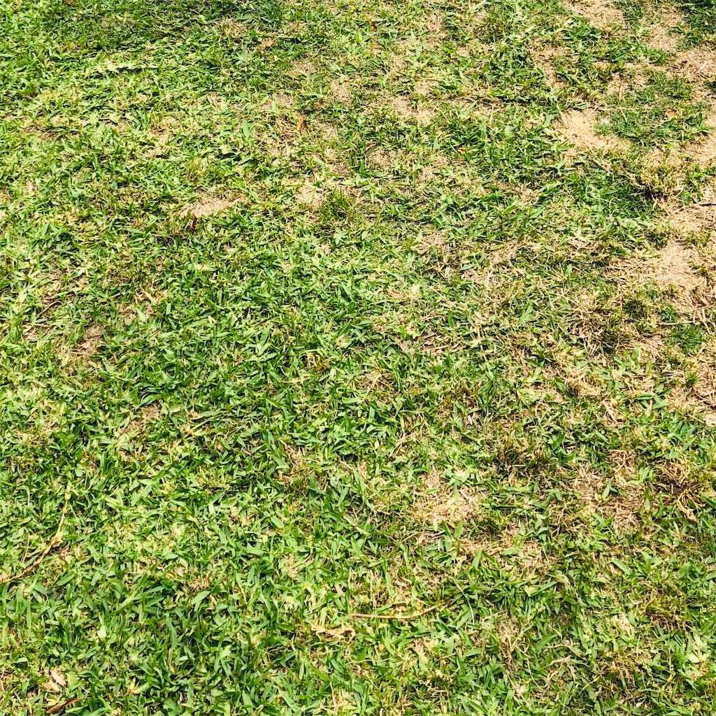 f:id:logicalnotes:20200614200133j:image f:id:logicalnotes:20200614200133j:image