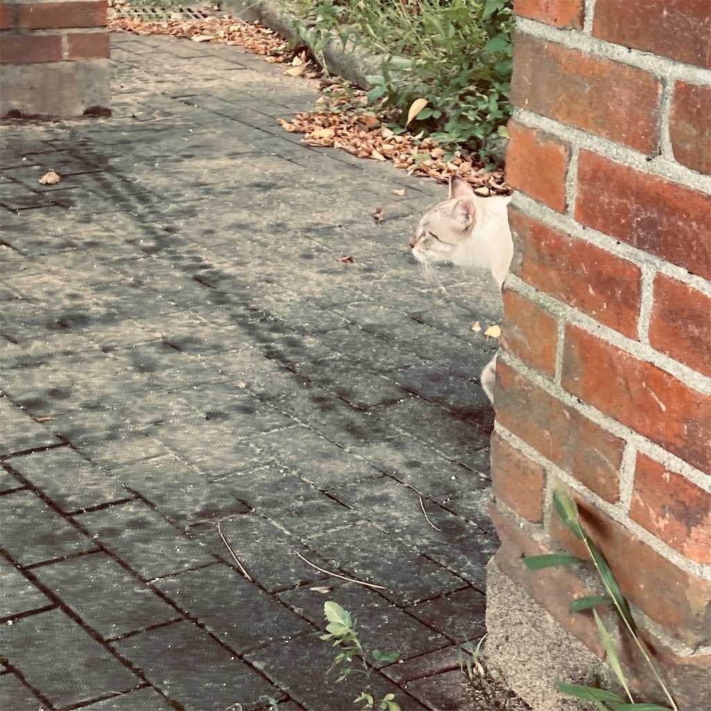 f:id:logicalnotes:20220924230128j:image f:id:logicalnotes:20220924230128j:image