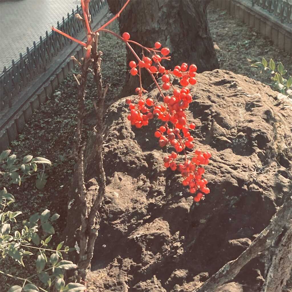 f:id:logicalnotes:20240201094337j:image f:id:logicalnotes:20240201094337j:image