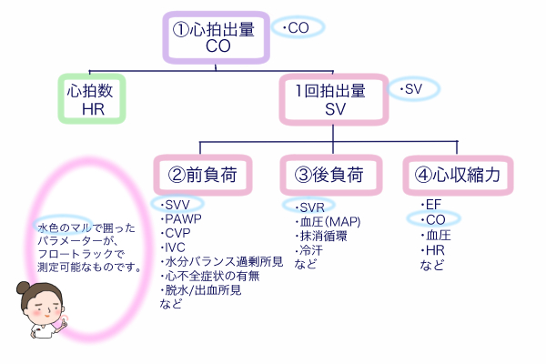 f:id:logicalnurse:20180810132733j:plain