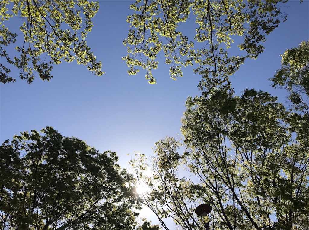 f:id:logos-garden:20190610201913j:plain f:id:logos-garden:20190610201913j:plain