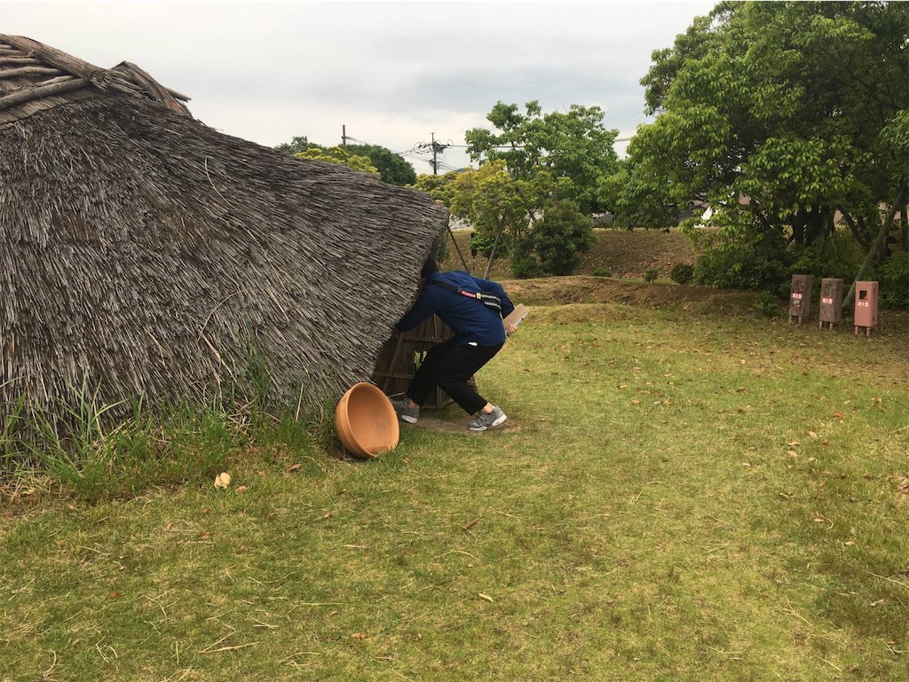 f:id:loharu:20190611231110j:image f:id:loharu:20190611231110j:image