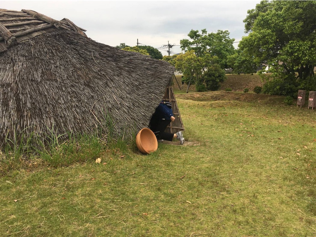 f:id:loharu:20190611231112j:image f:id:loharu:20190611231112j:image