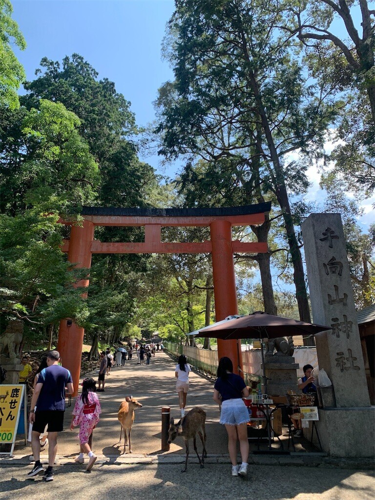 f:id:loisil-space:20240816074720j:image