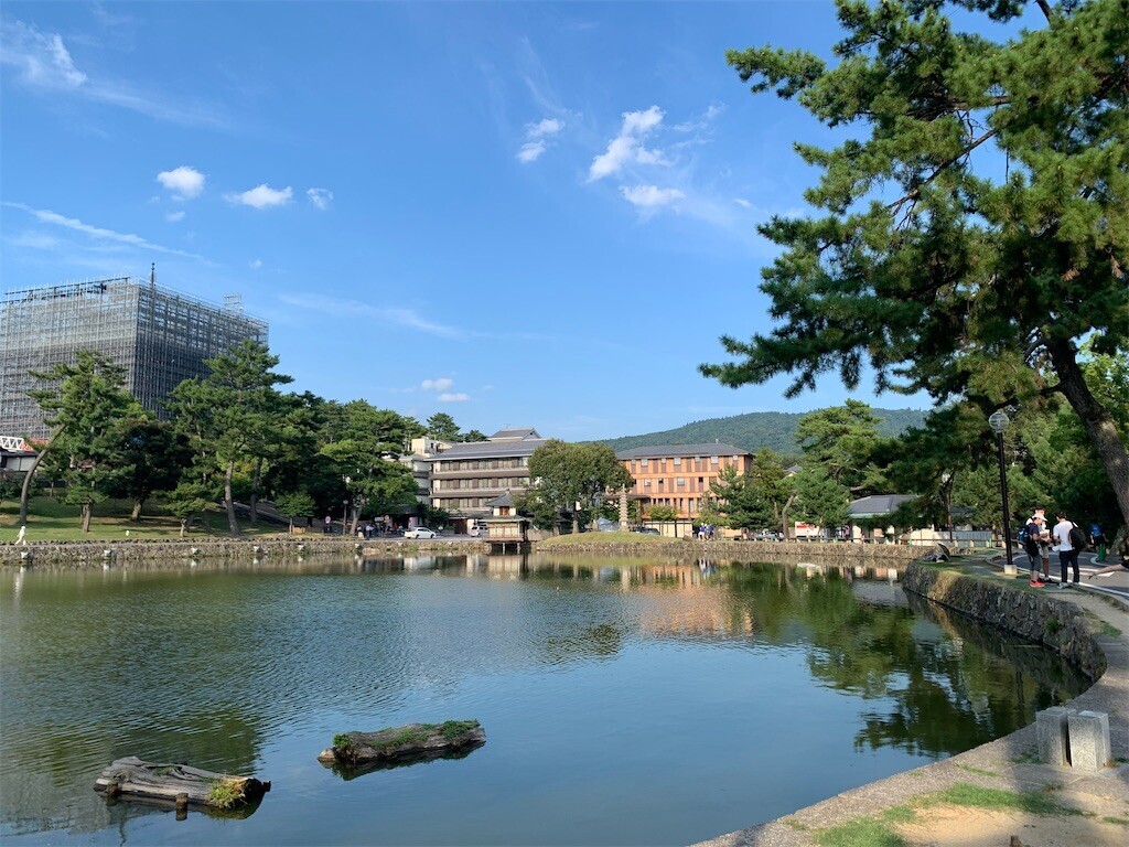 f:id:loisil-space:20240816080125j:image