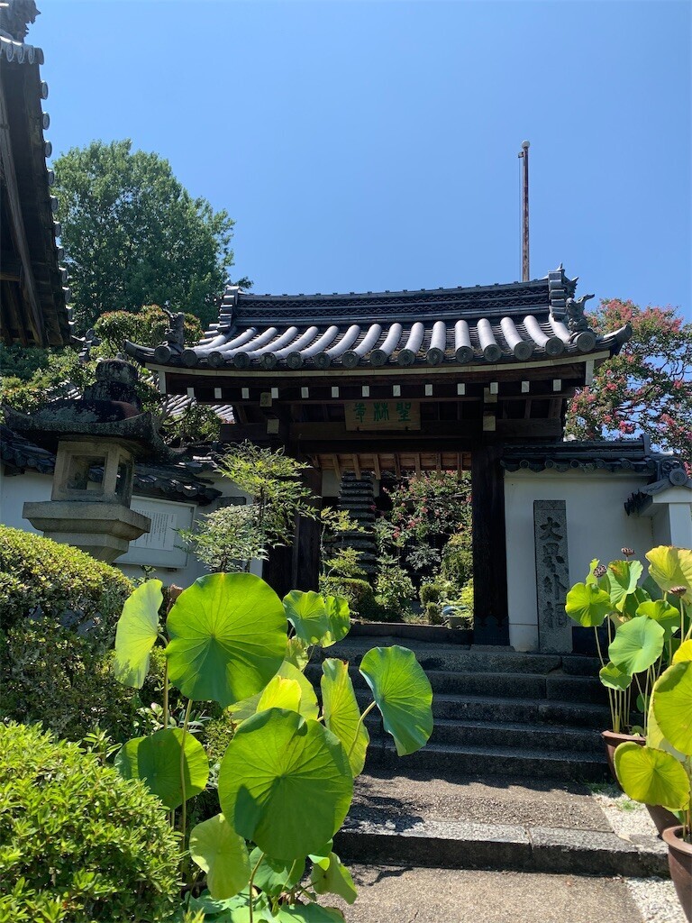 f:id:loisil-space:20240816101524j:image