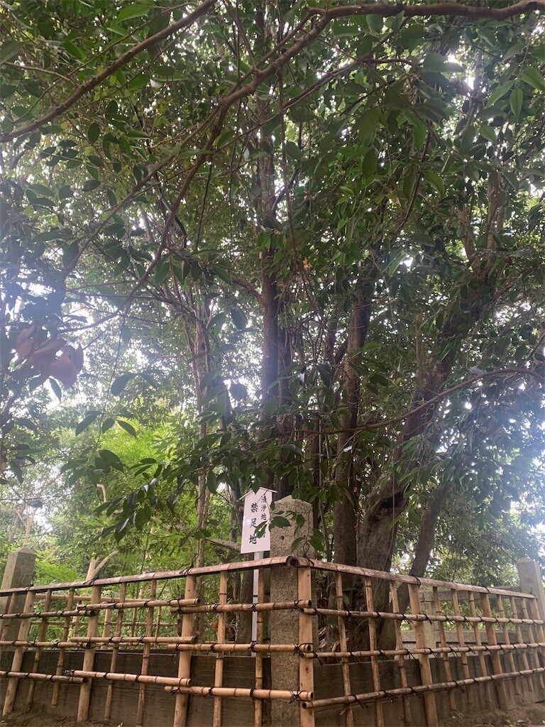 f:id:loisil-space:20240816103807j:image