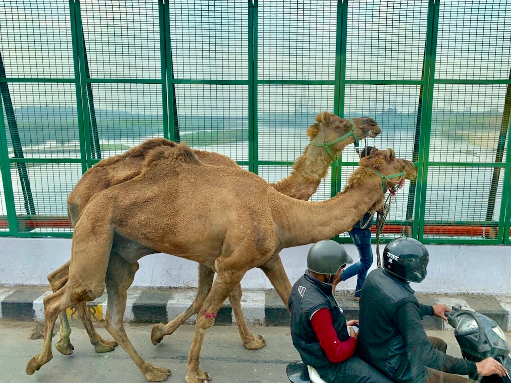 f:id:lokkifin:20190331220630j:image