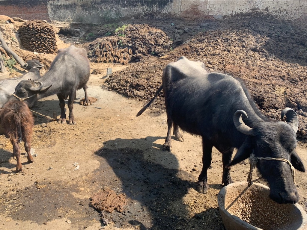 f:id:lokkifin:20190331220717j:image