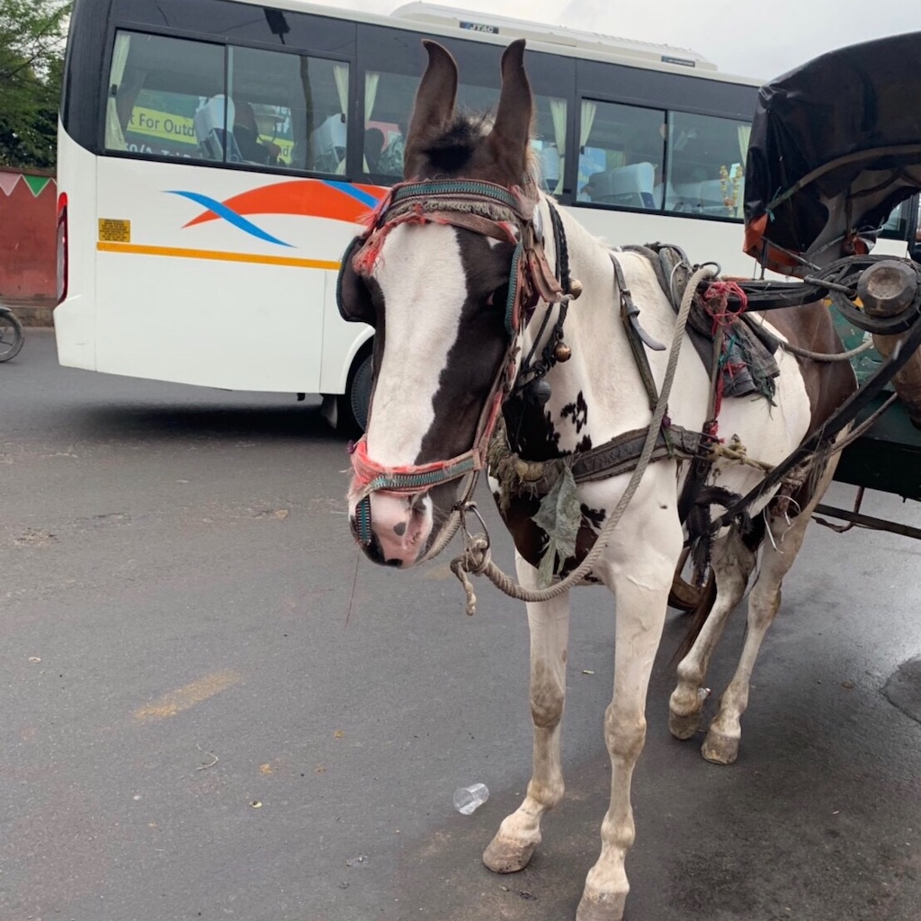 f:id:lokkifin:20190331220936j:image