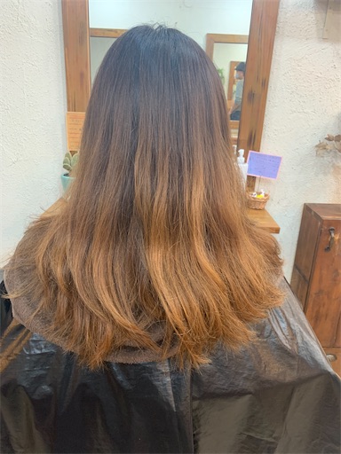 f:id:lolobeauty365:20201102170004j:image