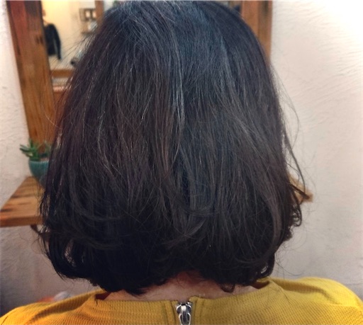 f:id:lolobeauty365:20201102184038j:image