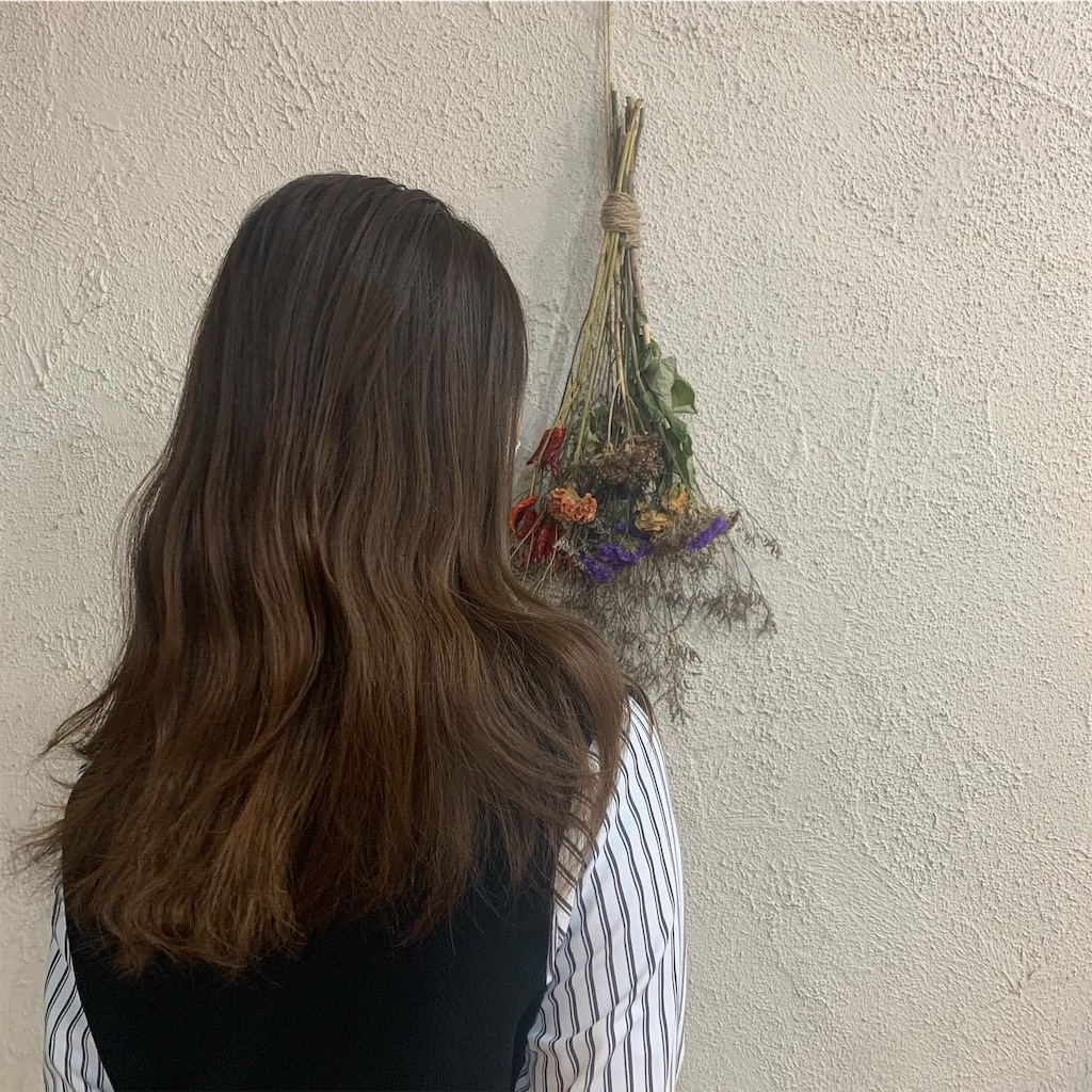 f:id:lolobeauty365:20201125111510j:image