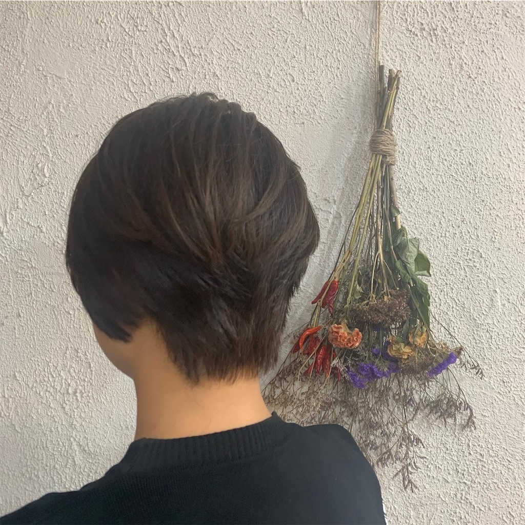 f:id:lolobeauty365:20201125111636j:image