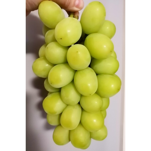 f:id:lolobeauty365:20210908120048j:image