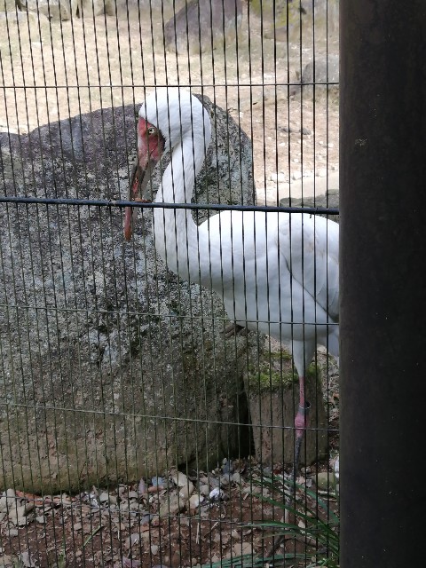 f:id:lolobeauty365:20211115143553j:image