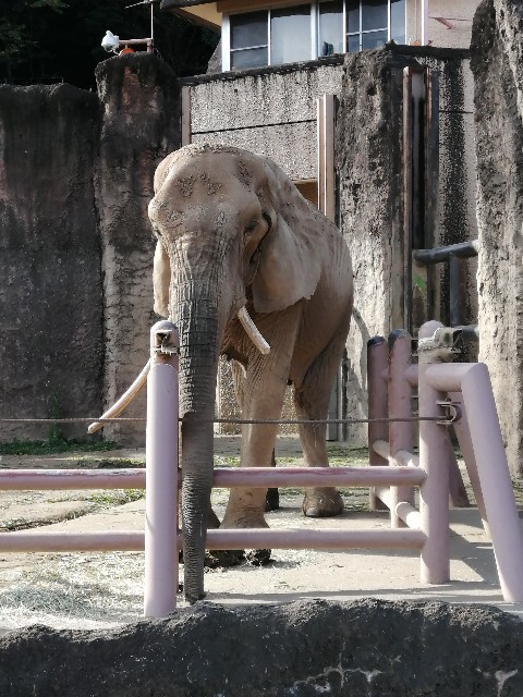 f:id:lolobeauty365:20211115143634j:image