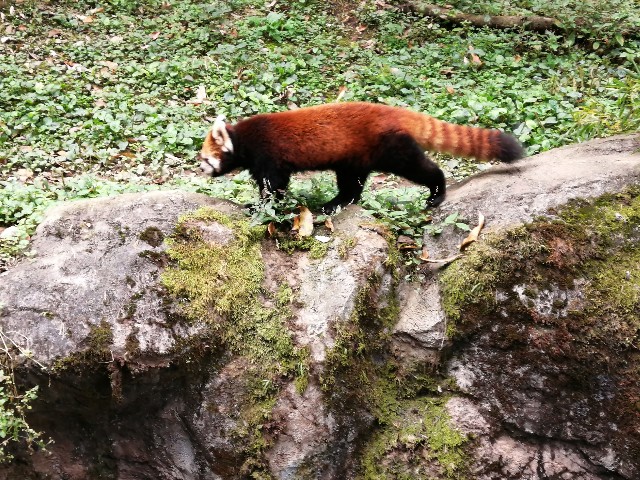 f:id:lolobeauty365:20211115143704j:image