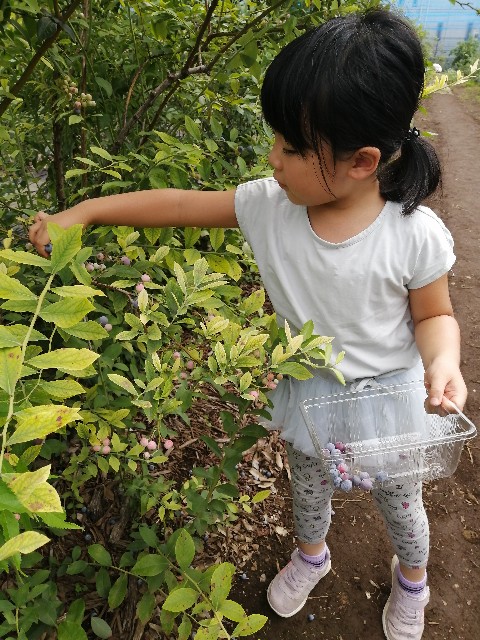 f:id:lolobeauty365:20220729103732j:image