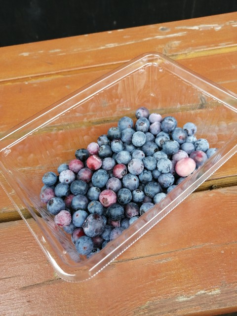 f:id:lolobeauty365:20220729110618j:image