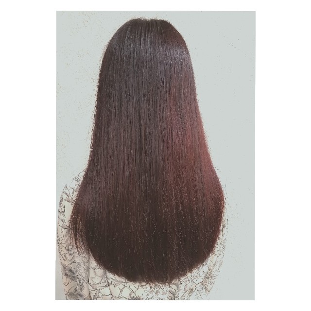 f:id:lolobeauty365:20221111145640j:image