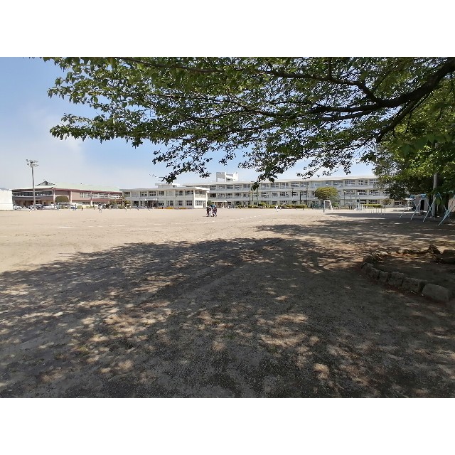 f:id:lolobeauty365:20230514152401j:image