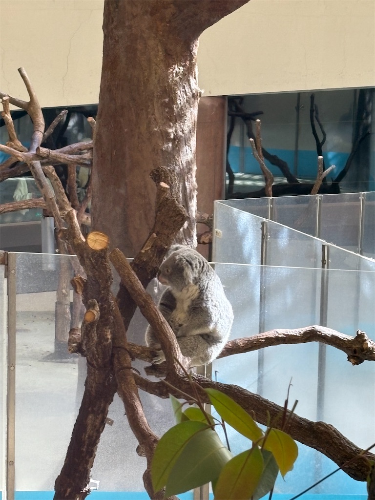 f:id:lolobeauty365:20251110134310j:image