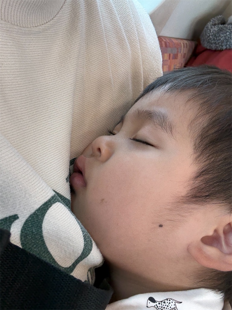 f:id:lolobeauty365:20251110134708j:image