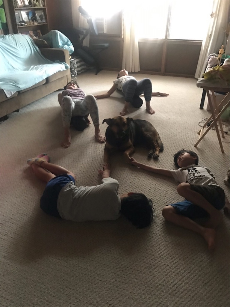 f:id:lomilomikiko:20190612143808j:image