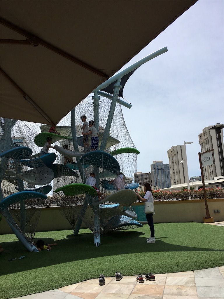 f:id:lomilomikiko:20190612144028j:image