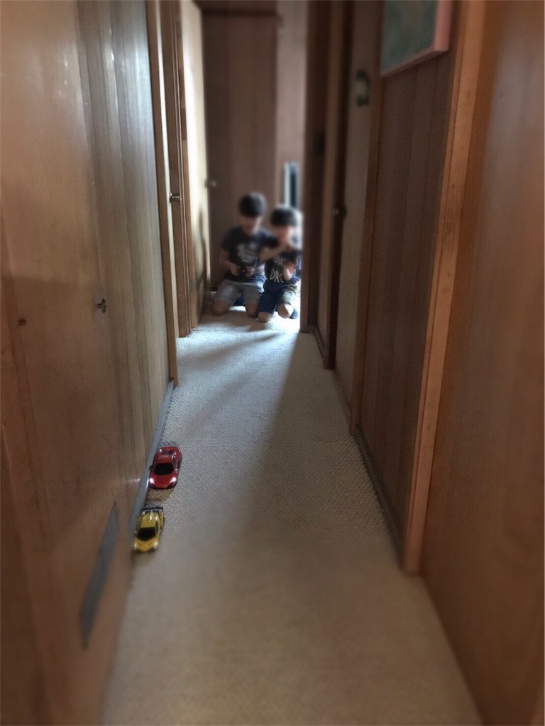 f:id:lomilomikiko:20190612144110j:image