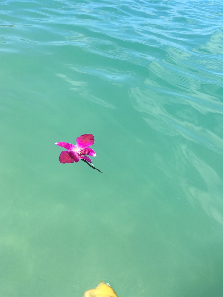 f:id:lomilomikiko:20190627201053j:image