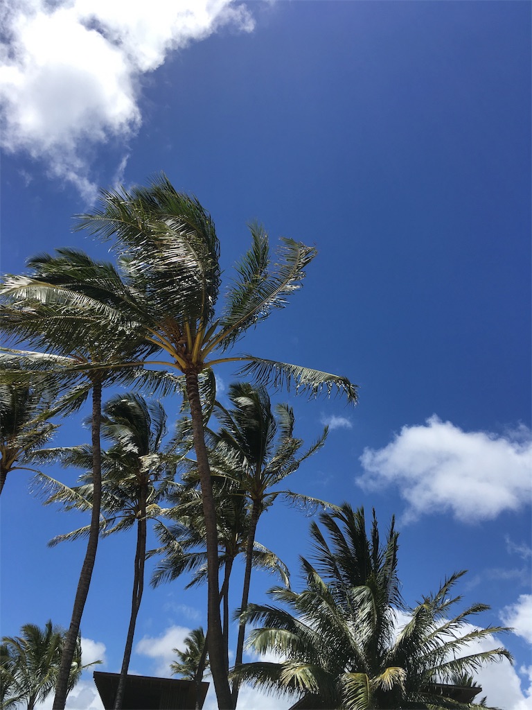 f:id:lomilomikiko:20191001144031j:image