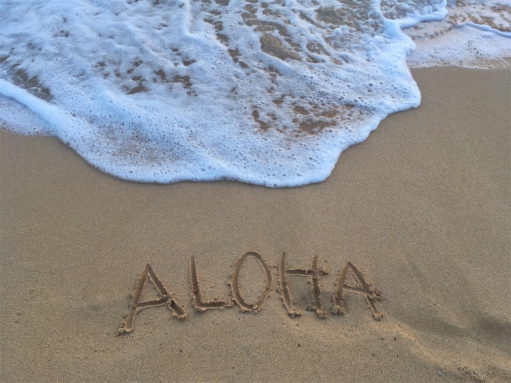 f:id:lomilomikiko:20191001144523j:image