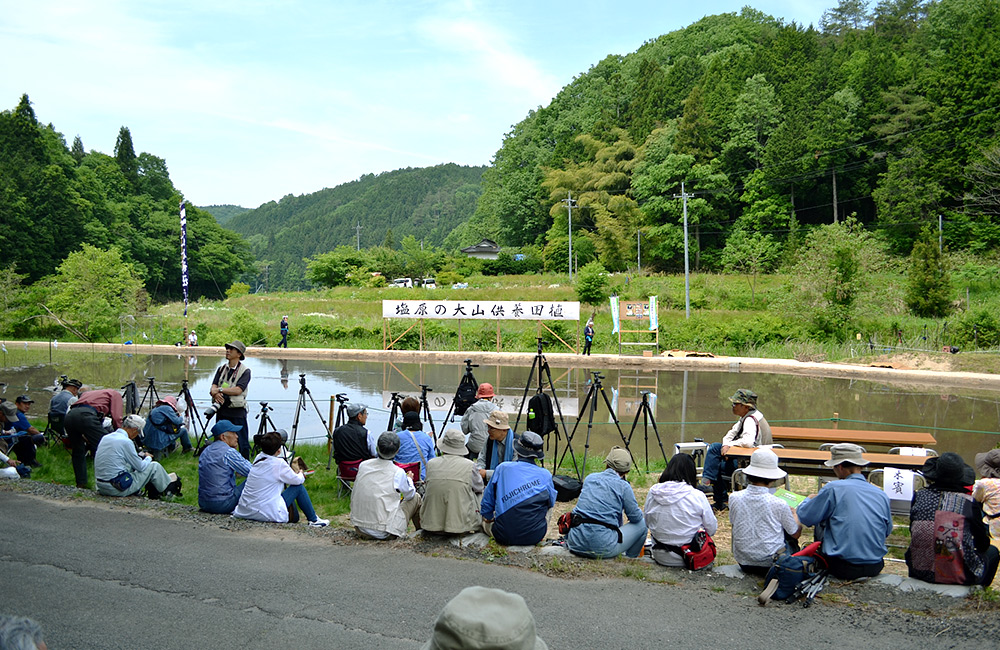 f:id:lomotani:20180611211902j:plain