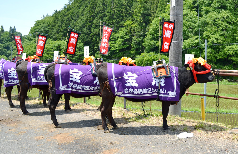 f:id:lomotani:20180611212125j:plain