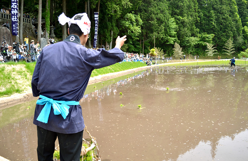 f:id:lomotani:20180611215548j:plain