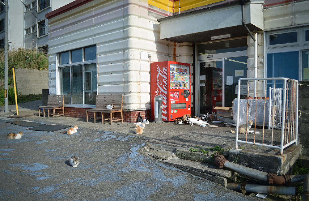 f:id:lomotani:20190526120306j:plain