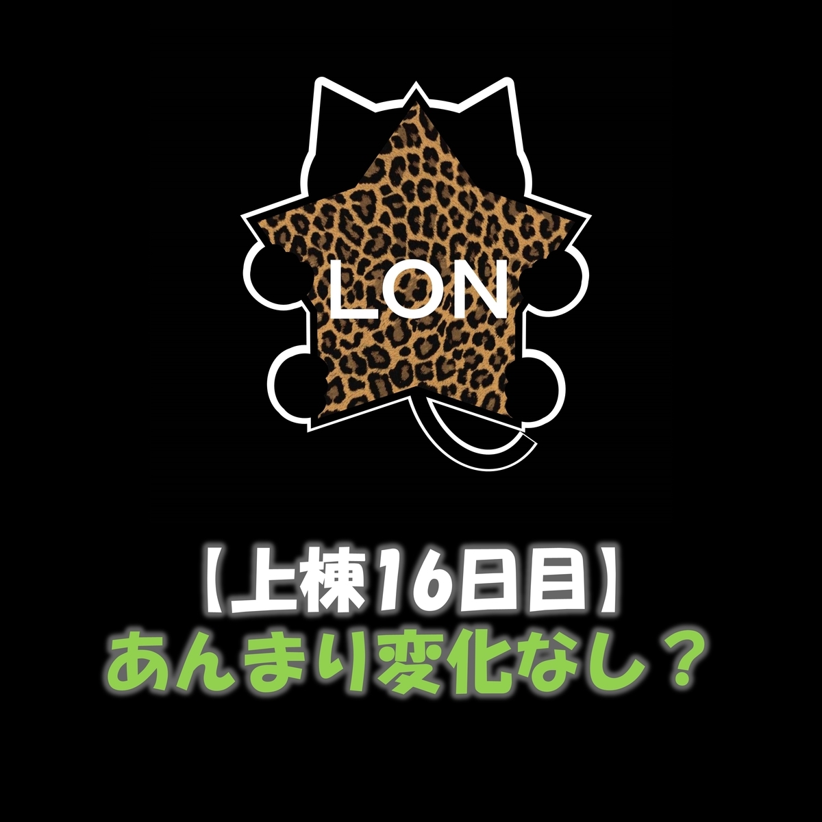 f:id:lon_blackcat:20201206151634j:plain