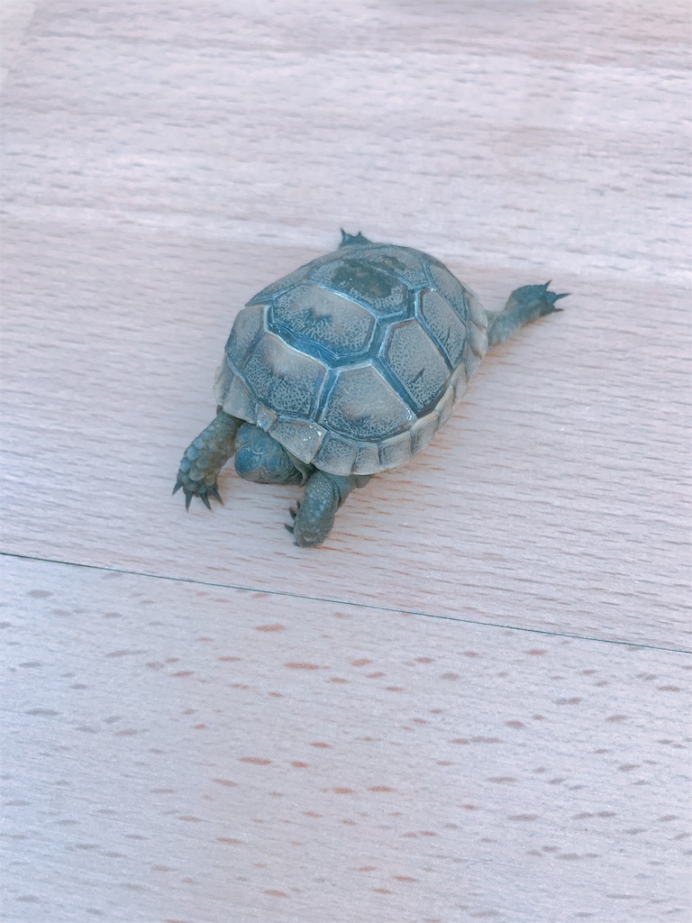 f:id:london_uk:20191120154744j:plain