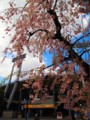 20140406112349