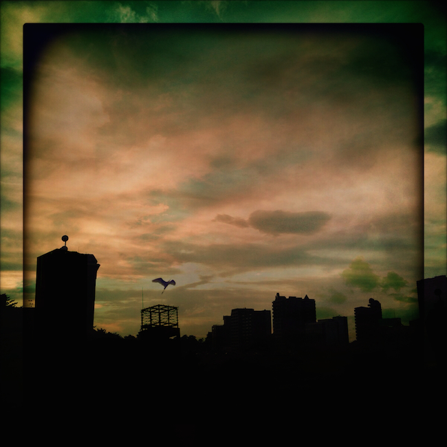 f:id:lonestartx:20140822113515j:plain f:id:lonestartx:20140822113515j:plain