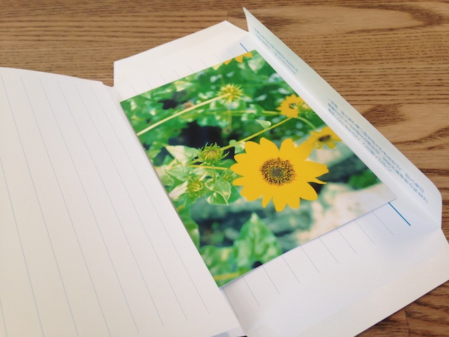 ミニレター(郵便書簡)って知ってますか!?手紙と写真が一緒に送れる