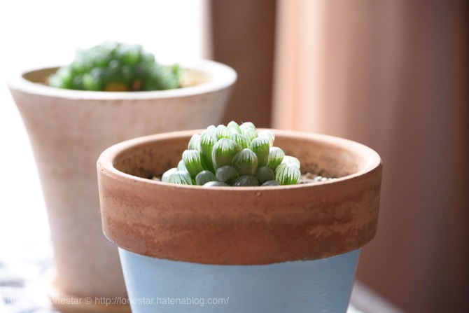 f:id:lonestartx:20161022100656j:plain f:id:lonestartx:20161022100656j:plain