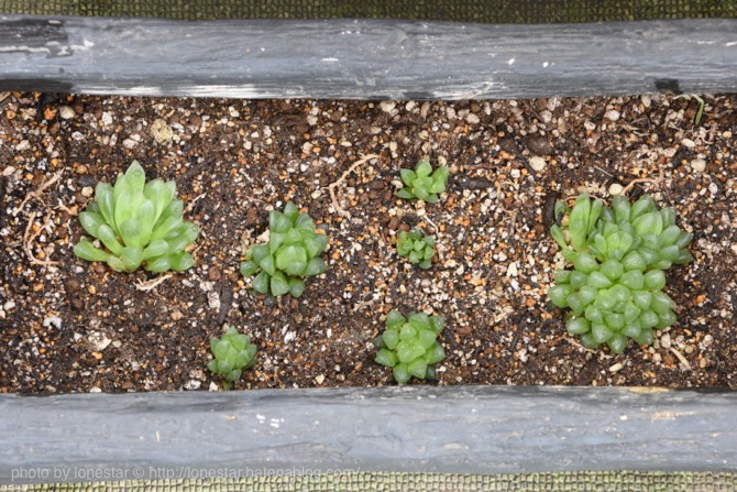 f:id:lonestartx:20161022101122j:plain f:id:lonestartx:20161022101122j:plain