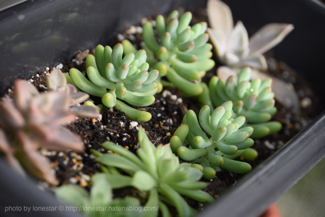 f:id:lonestartx:20161022101817j:plain f:id:lonestartx:20161022101817j:plain