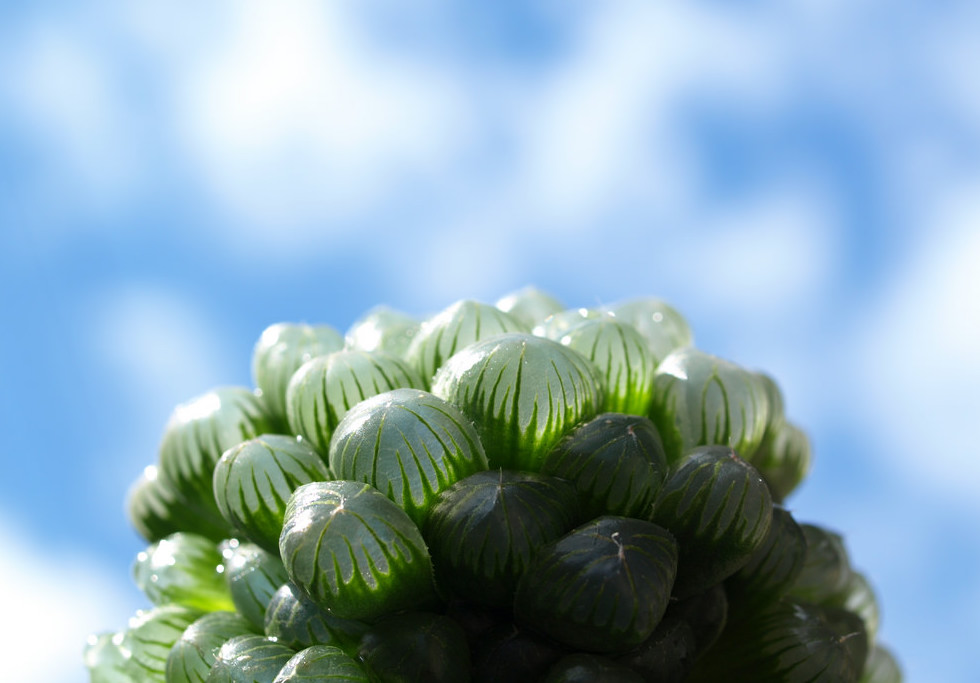 f:id:lonestartx:20161022104254j:plain f:id:lonestartx:20161022104254j:plain