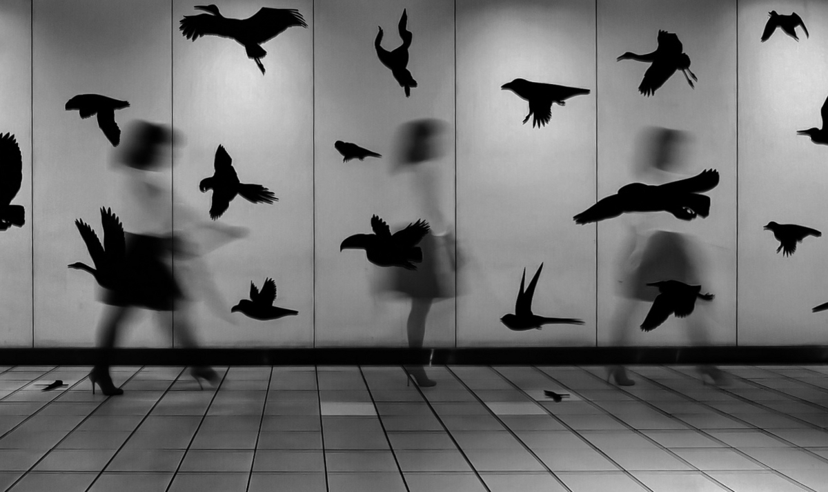 f:id:lonestartx:20170614173711j:plain