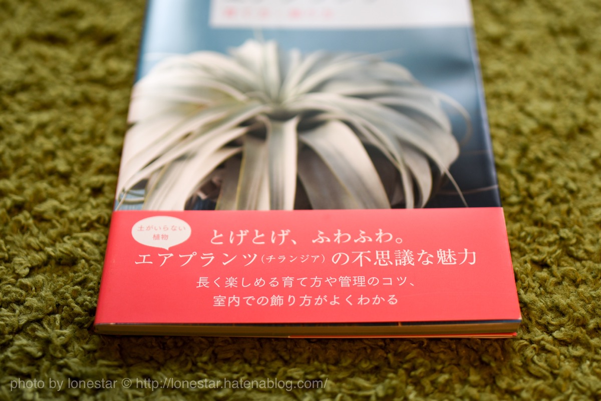 はじめてのエアプランツ
