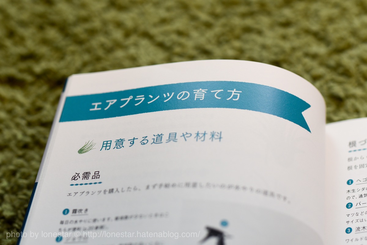 エアプランツの育て方